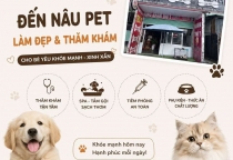 Cuối Tuần Đến Nâu Pet Làm Đẹp Cho Boss – Vừa Xinh Xắn, Vừa Khỏe Mạnh