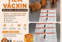 Vì Sao Nên Tiêm Vắc Xin Cho Bé Con? Điều Quan Trọng Mọi Sen Đều Nên Biết