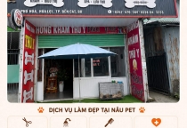 Dịch Vụ Cắt Tỉa Thú Cưng Tại Bình Dương – Giúp Boss Gọn Gàng Và Tự Tin Hơn Mỗi Ngày