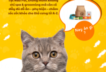 Nâu Pet – Spa & Cửa Hàng Thú Cưng Bình Dương | Địa chỉ chăm sóc thú cưng uy tín tại Bến Cát
