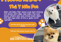 Phòng Khám Thú Y Uy Tín Hàng Đầu Tại Bình Dương | Nâu Pet