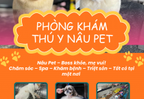 Top Phòng Khám Thú Y Uy Tín Nhất Bình Dương – Chăm Sóc Thú Cưng Toàn Diện