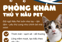Cửa Hàng Thức Ăn & Phụ Kiện Thú Cưng Bình Dương – Phòng Khám Thú Y Nâu Pet