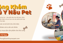 Năm 2026 – Những dịch vụ nên lựa chọn tại Phòng khám thú y Nâu Pet