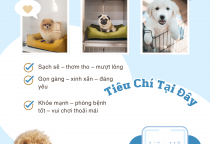 Top Phòng Khám Điều Trị Bệnh Thú Cưng Uy Tín Tại Bình Dương