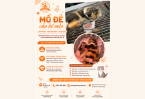Dịch Vụ Mổ Đẻ Cho Thú Cưng Tại Nâu Pet – Đồng Hành Cùng Mẹ Và Bé Trong Hành Trình Vượt Cạn