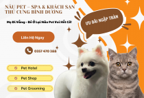 Khách Sạn Thú Cưng Ở Bình Dương – An Tâm Gửi Gắm Bé Yêu Tại Nâu Pet