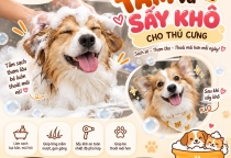 Tắm Và Sấy Khô Cho Thú Cưng Tại Bến Cát | Nâu Pet