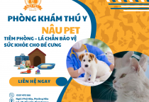 TIÊM PHÒNG CHO THÚ CƯNG TẠI NÂU PET – BẢO VỆ SỨC KHỎE TOÀN DIỆN CHO BÉ YÊU! 
