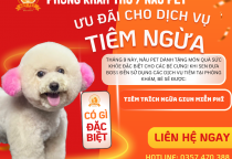 ƯU ĐÃI THÁNG 9: NÂU PET TẶNG TRÍCH NGỪA GIUN MIỄN PHÍ KHI SỬ DỤNG DỊCH VỤ TIÊM