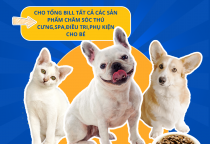 Khuyến Mãi Đặc Biệt Tại Phòng Khám Thú Y Nâu Pet - Ưu Đãi Hấp Dẫn Nhân Dịp Khai Trương