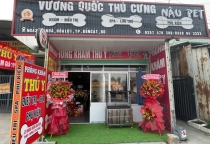 Phòng Khám Thú Y Nâu Pet – Dịch Vụ Spa Thú Cưng Bình Dương Chất Lượng