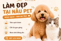 Vì Sao Nên Mua Thức Ăn Cho Thú Cưng Tại Pet Shop Uy Tín?