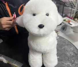 Cắt móng,mài móng 