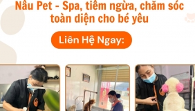 CẮT TỈA LÔNG  THÚ CƯNG