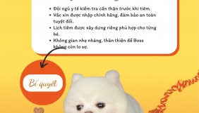 KHÁM VÀ ĐIỀU TRỊ THÚ CƯNG 