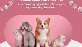 SPA THÚ CƯNG BÌNH DƯƠNG - PHÒNG KHÁM THÚ Y NÂU PET