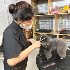 Dịch vụ làm đẹp: Tắm, cắt tỉa lông và chăm sóc ngoại hình cho thú cưng.