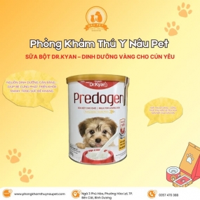 Sữa Bột Cho Chó Predogen - 110g