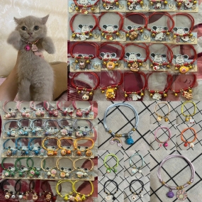 Lắc cổ cho thú cưng  (1)