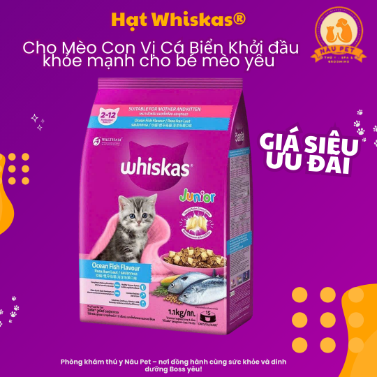 Hạt mèo vị cá biển